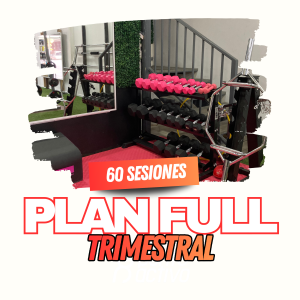 Plan FULL trimestral